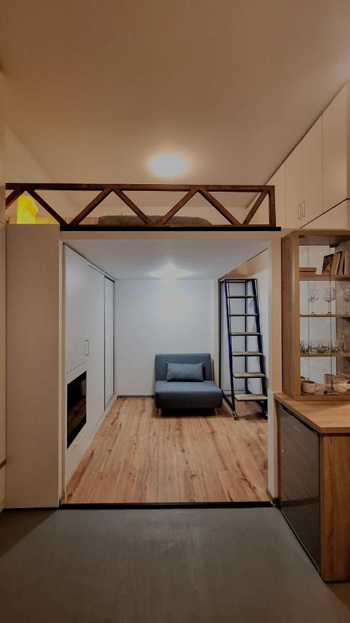 Swanhome - Central Apartment 克卢日-纳波卡 外观 照片
