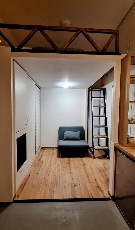 Swanhome - Central Apartment 克卢日-纳波卡 外观 照片