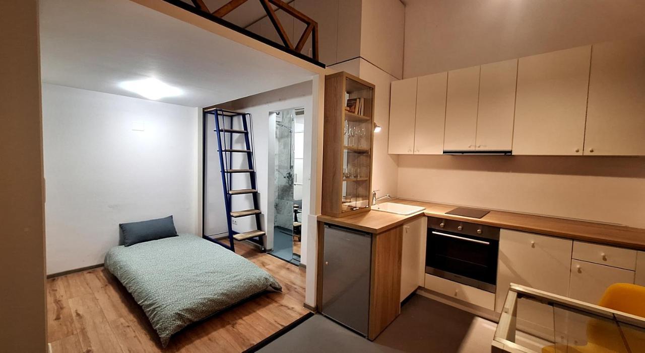 Swanhome - Central Apartment 克卢日-纳波卡 外观 照片
